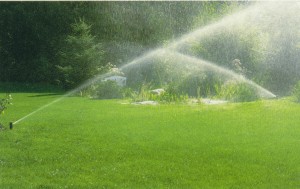 Sprinkler on lawn